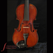 Viola_G_Apparut_Front_WZ