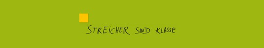 http://www.streichersindklasse.de/